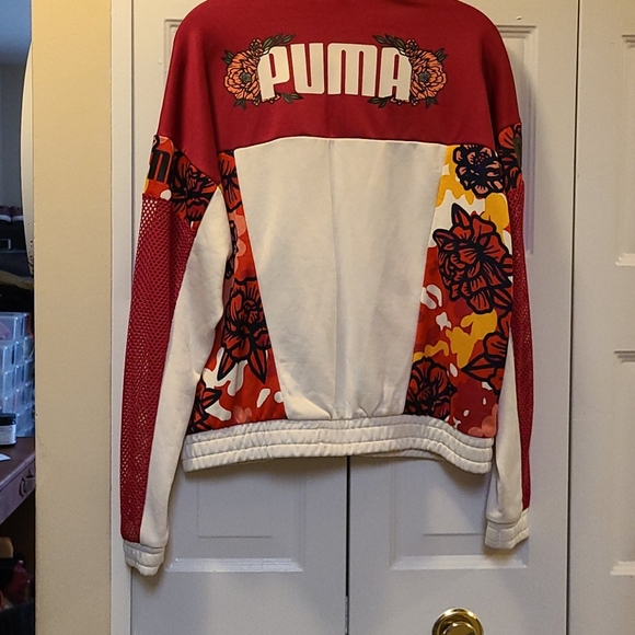 Puma - Picture 2 of 4